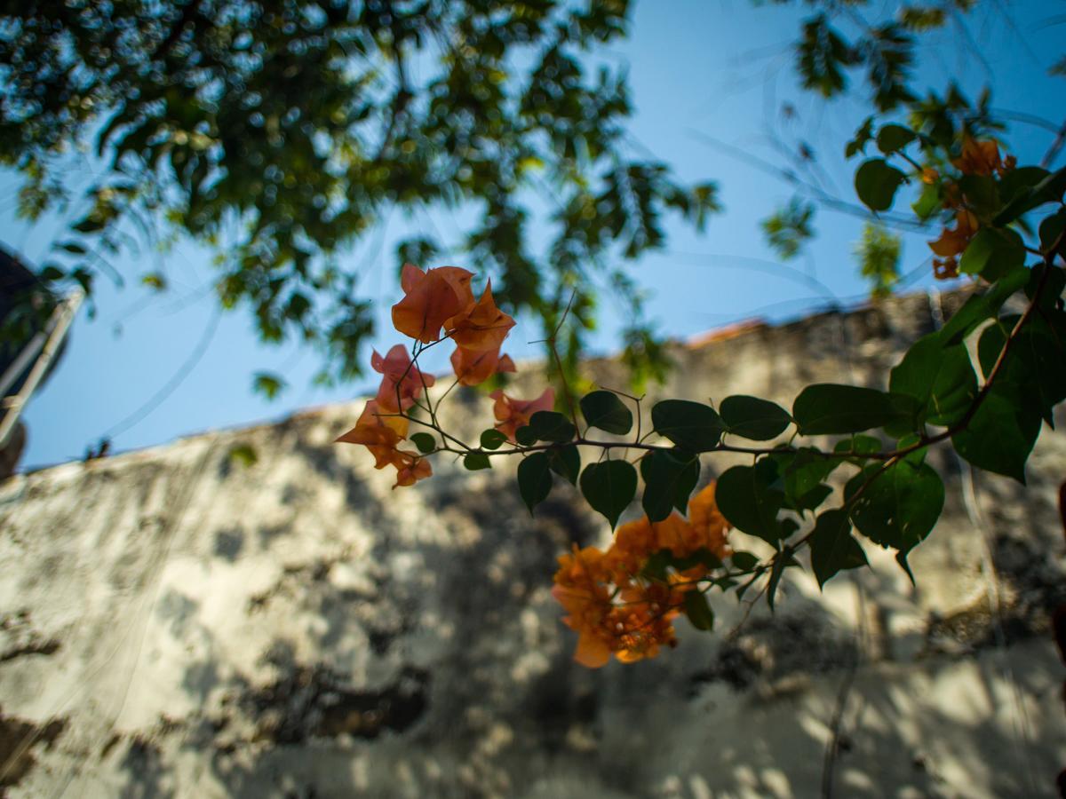 Pueblito Magico Hostel - Mompox Exterior photo